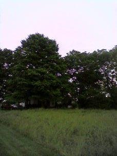 c2d326446642.jpg