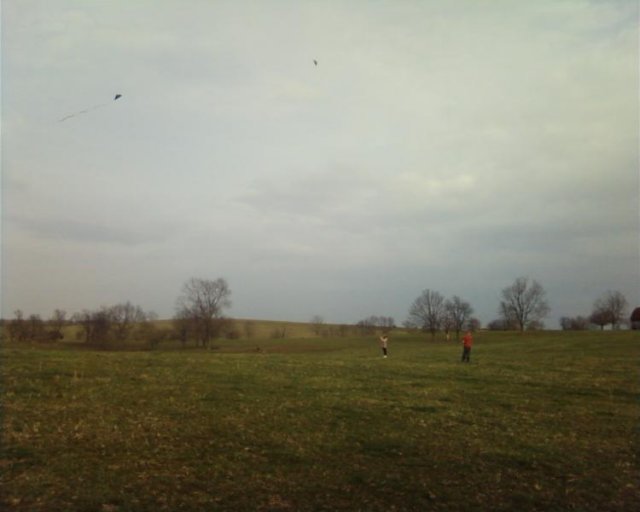 photo0020.jpg