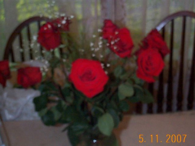 photo10.jpg